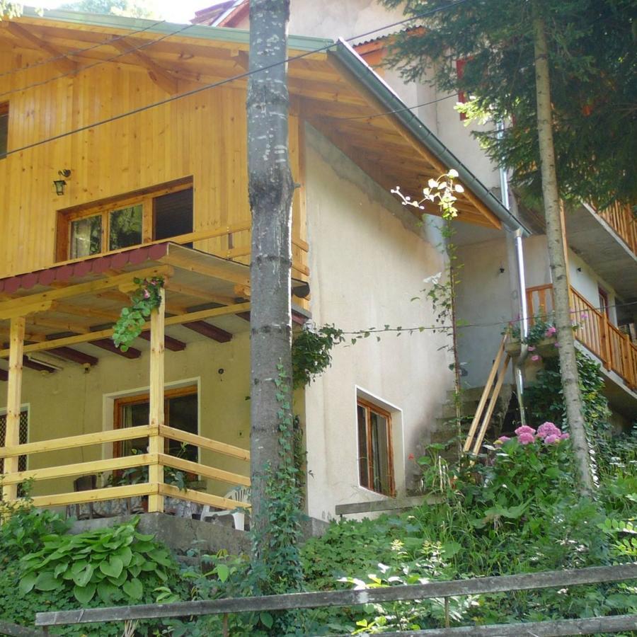 Mountain Sun Guest House Чифлик Экстерьер фото